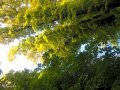 WP_20160927_11_27_18_Pro.jpg